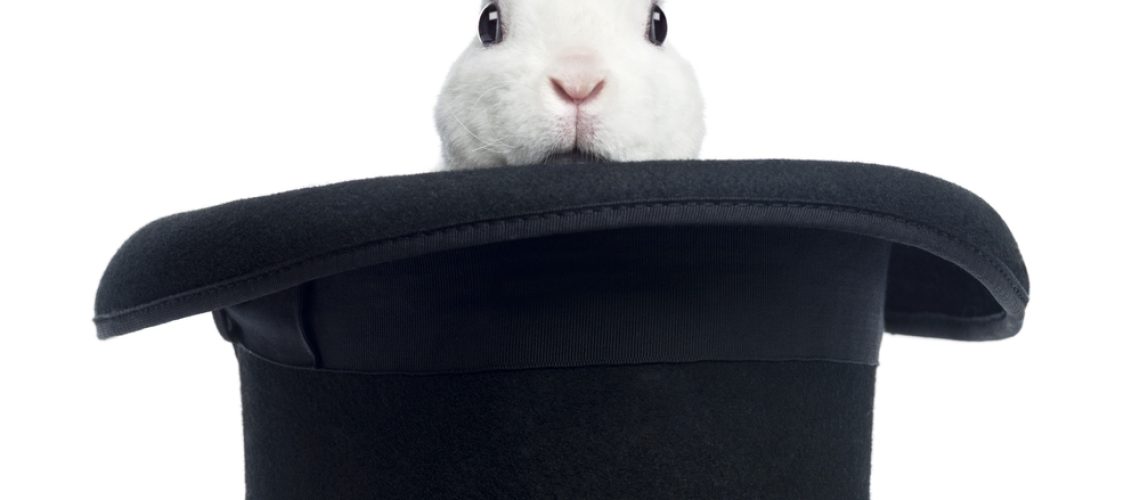 Mini rex rabbit appearing from a top hat, isolated on white